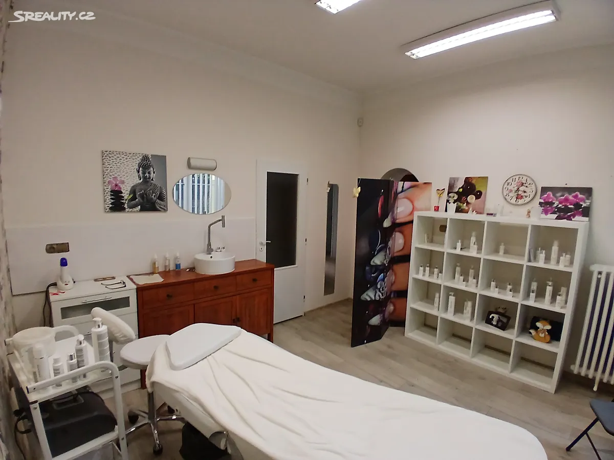 Prodej obchodního prostoru 40 m² – pohled 6