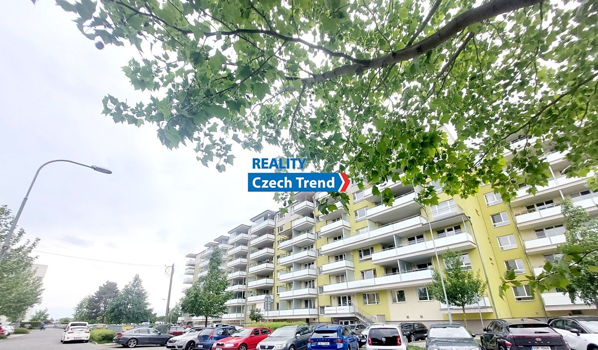 Pronájem bytu 1+kk 37 m² (Jednopodlažní)