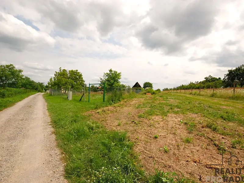 Prodej vinného sklepa 15 m², Břeclav – náhled fotky 2