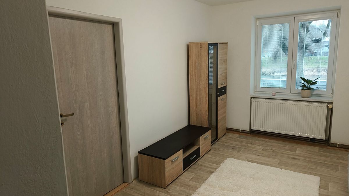Pronájem bytu 2+1 56 m²