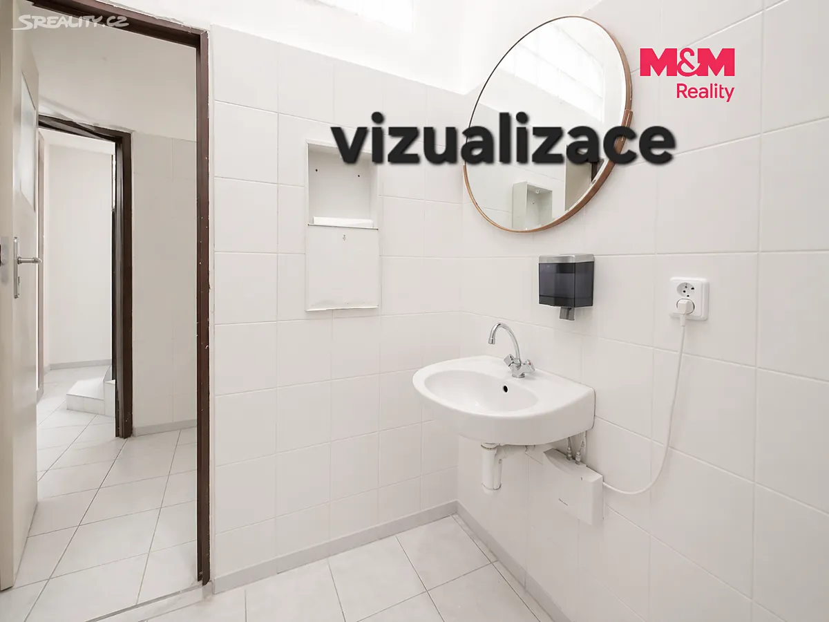Pronájem obchodního prostoru 100 m² - Widok 6