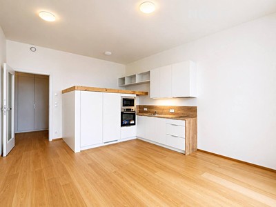 Pronájem bytu 1+kk 34 m²