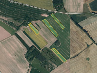 Prodej  pole 9 996 m²