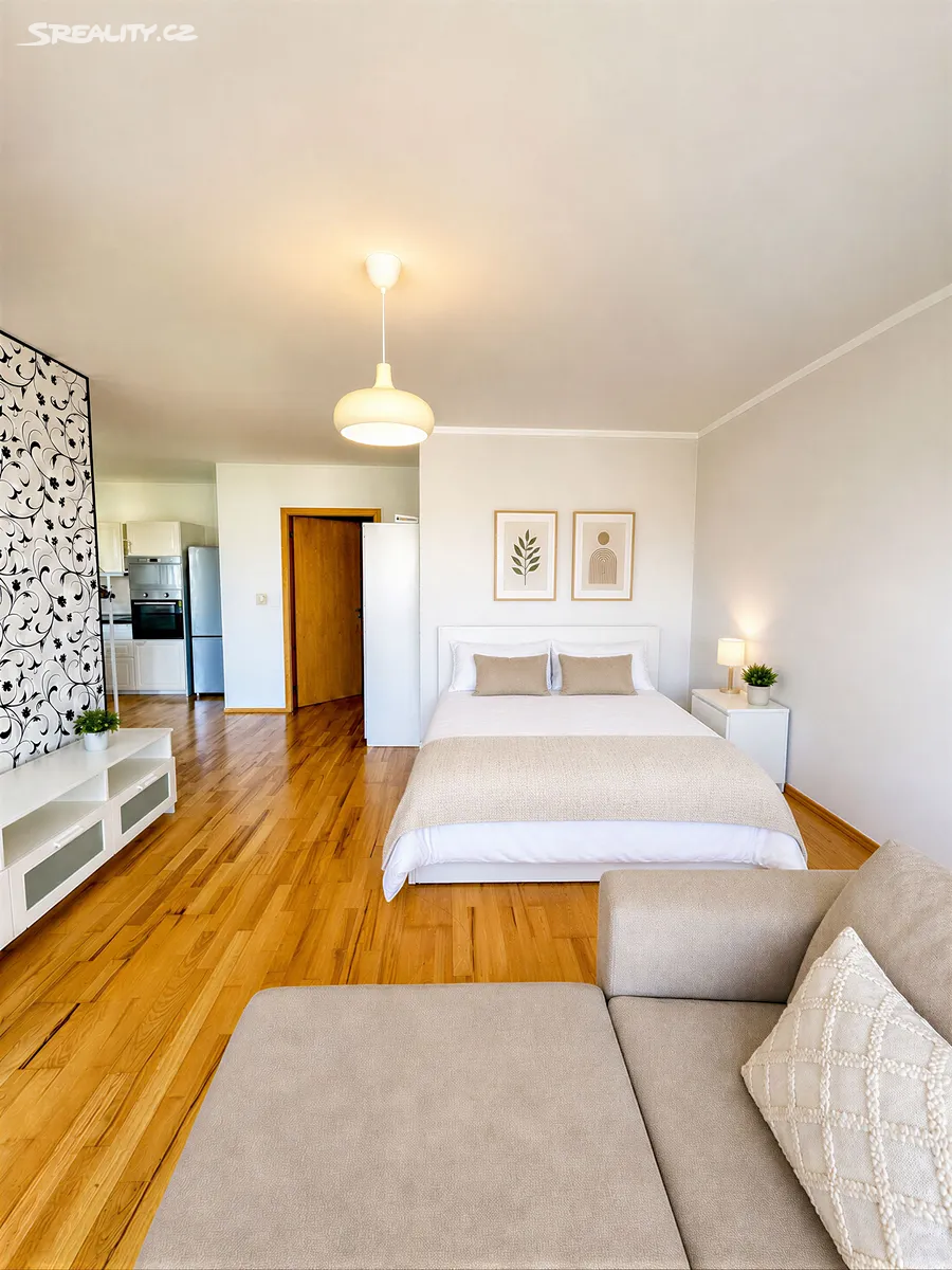 Pronájem bytu 1+kk 45 m² – pohled 2