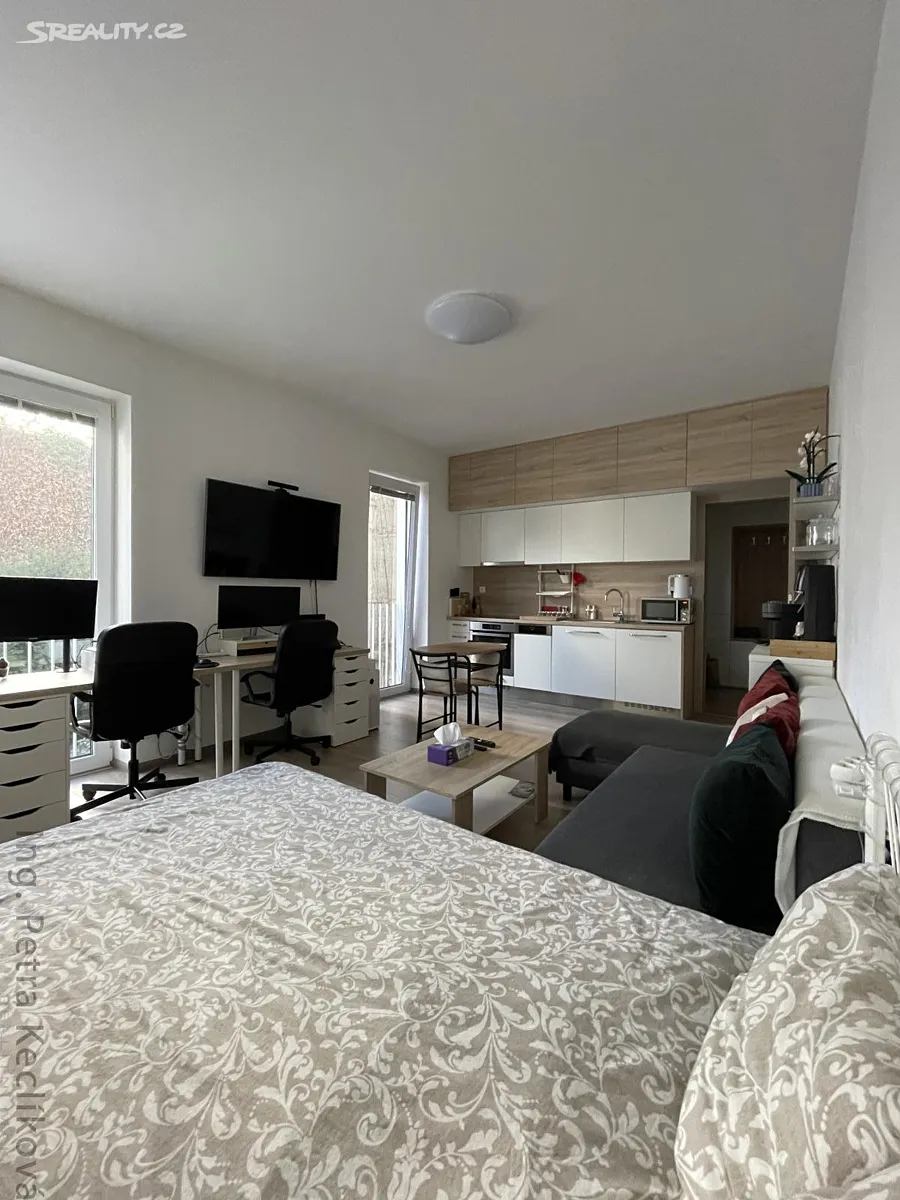 Pronájem bytu 1+kk 30 m² – pohled 4