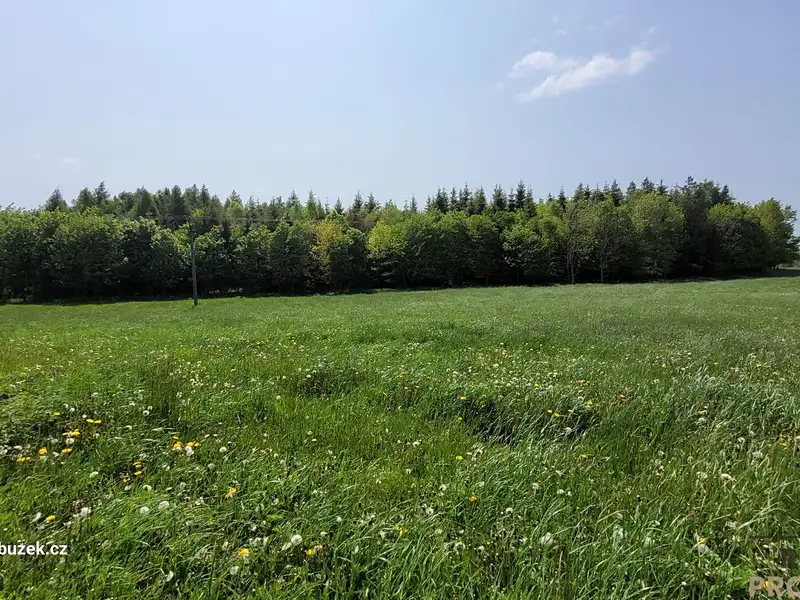 Prodej louky 2247 m², Moravský Beroun – náhled fotky 1