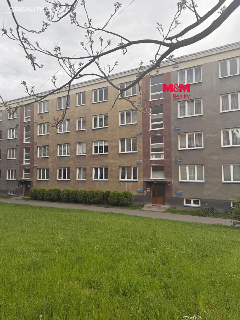 Pronájem bytu 3+1 62 m², Děčín