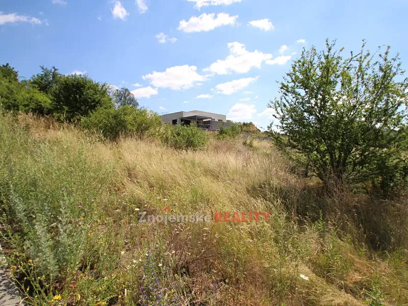 Prodej stavebního pozemku 2679 m², Dyje – náhled fotky 2