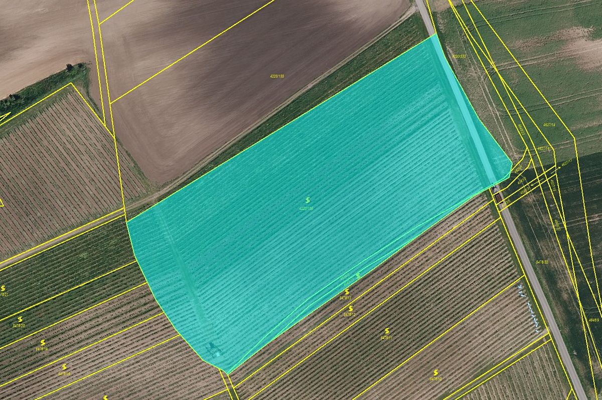 Prodej sadu, vinice 16688 m², Čejkovice – fotka 1 z 3