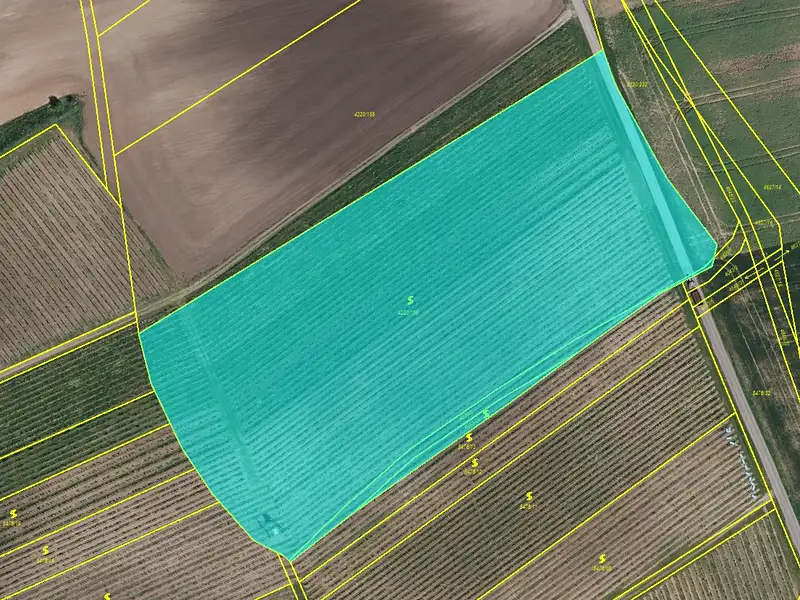 Prodej sadu, vinice 16688 m², Čejkovice – náhled fotky 1