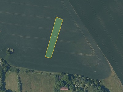 Prodej  pole 6 865 m²