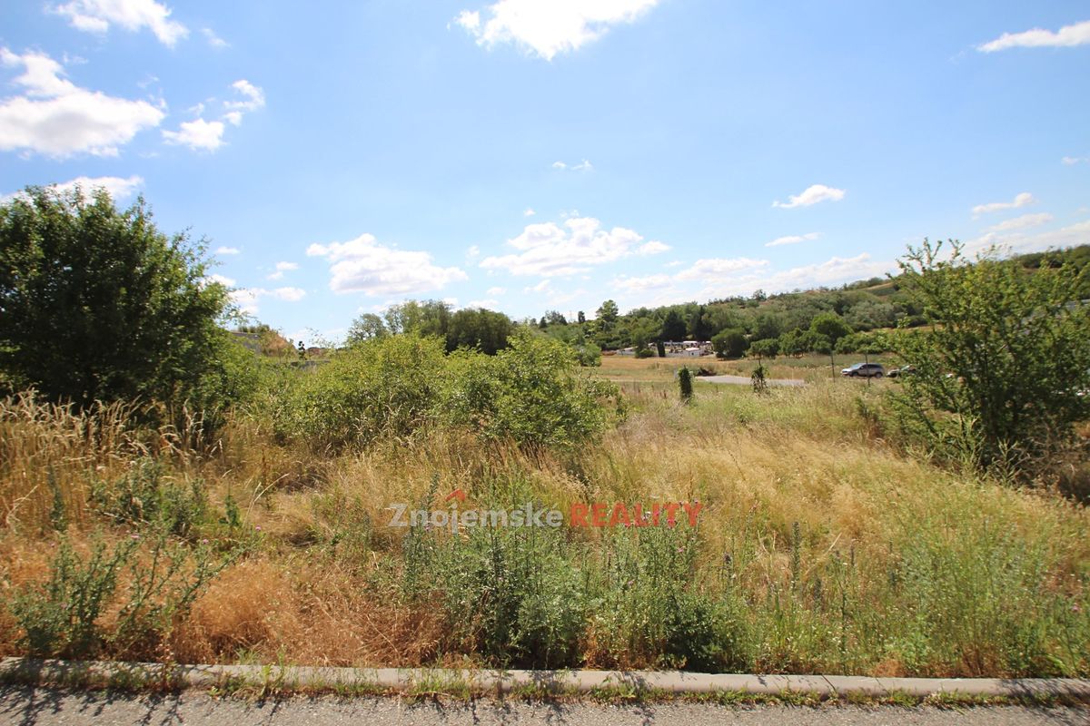 Prodej stavebního pozemku 2679 m², Dyje – fotka 1 z 3