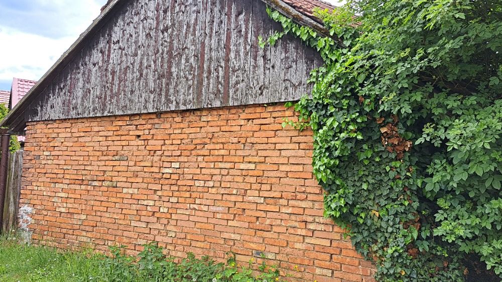 Prodej rodinného domu 120 m², pozemek 373 m² – fotografie 5
