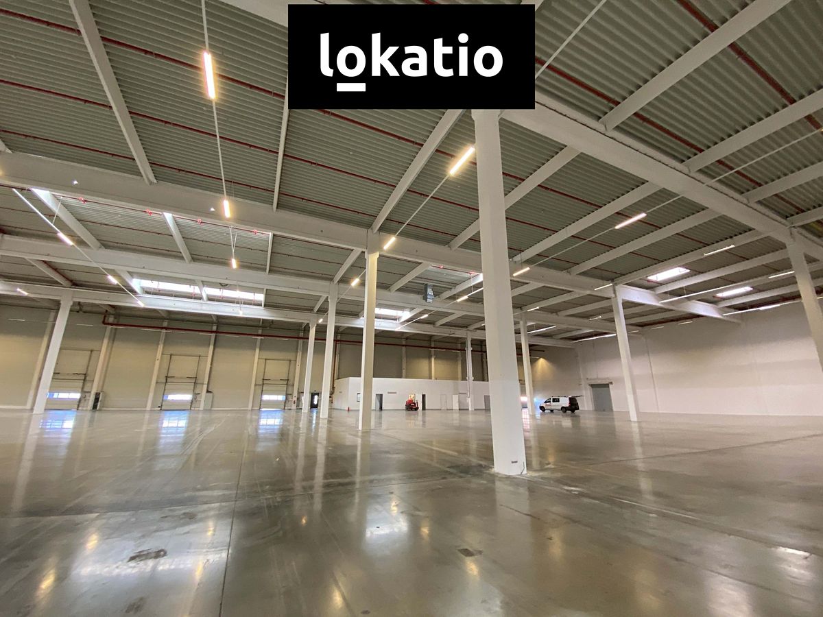 Pronájem skladového prostoru 11400 m²