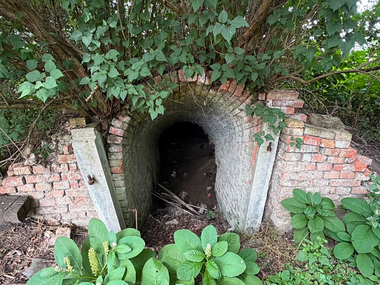 Ostatní