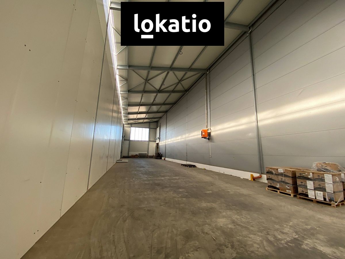 Pronájem skladového prostoru 1300 m² – fotografie 3