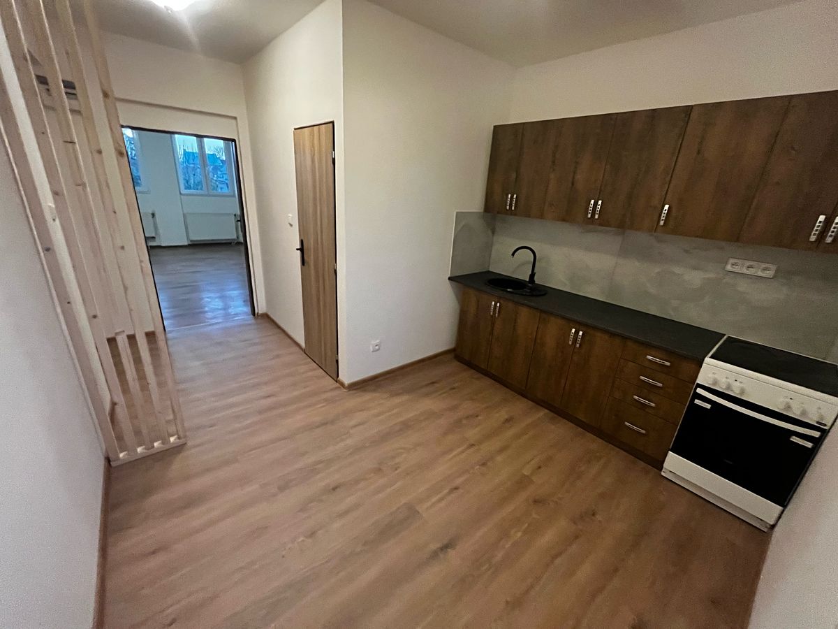 Pronájem bytu 1+1 50 m²