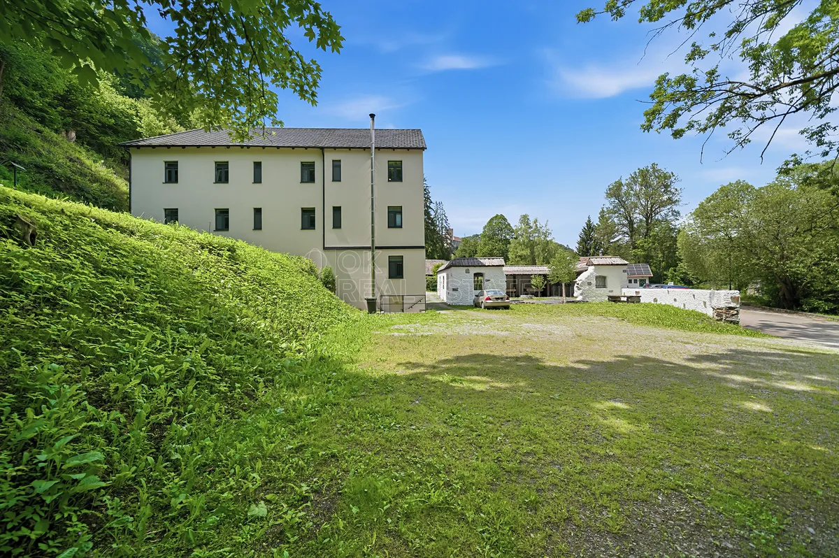 Fotka 10 z 12