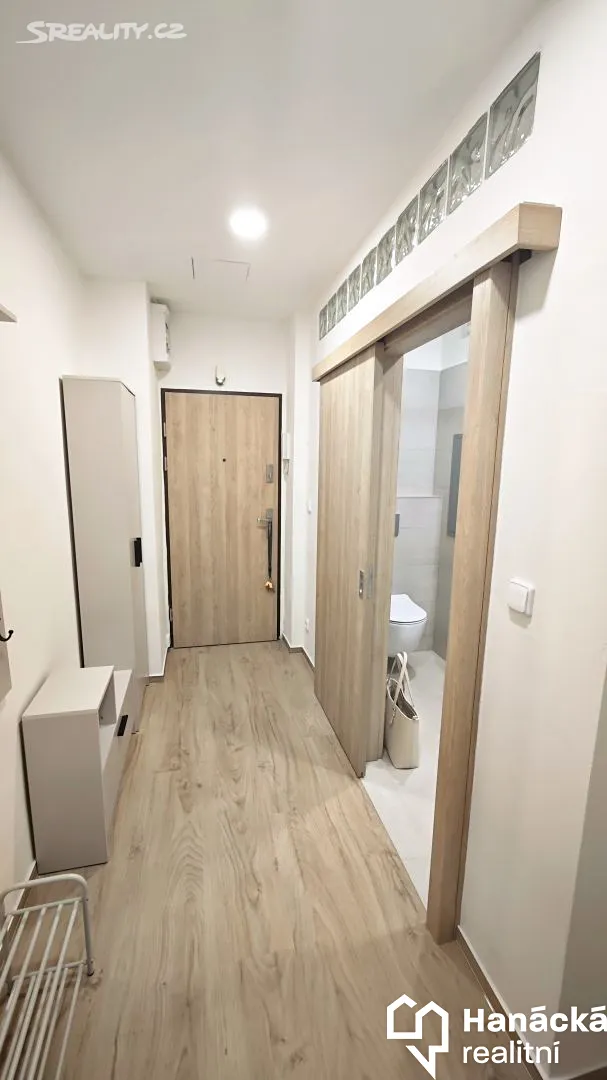Pronájem bytu 2+1 53 m² – pohled 2