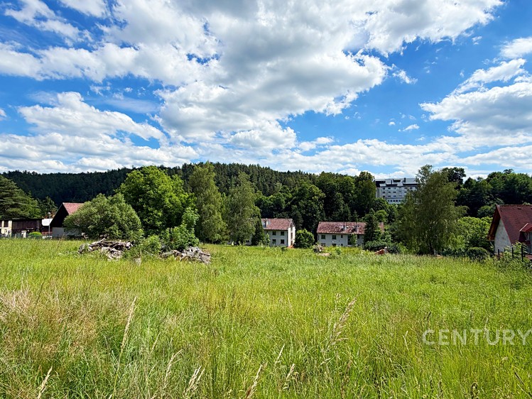 Prodej pozemku, 2 078 m² (8 z 19)