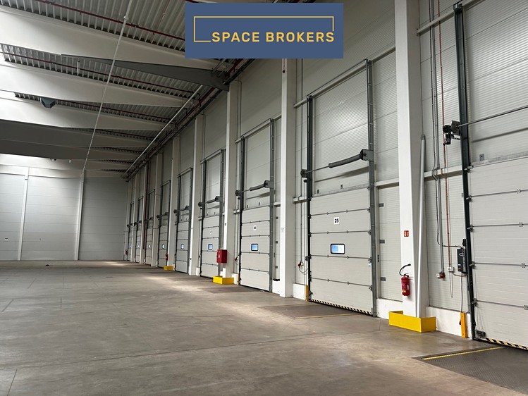 Gewerbefläche zur Miete, 5.709 m² (3 von 6)