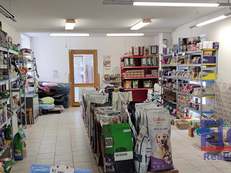 Prodej domu, 320 m² (4 z 17)