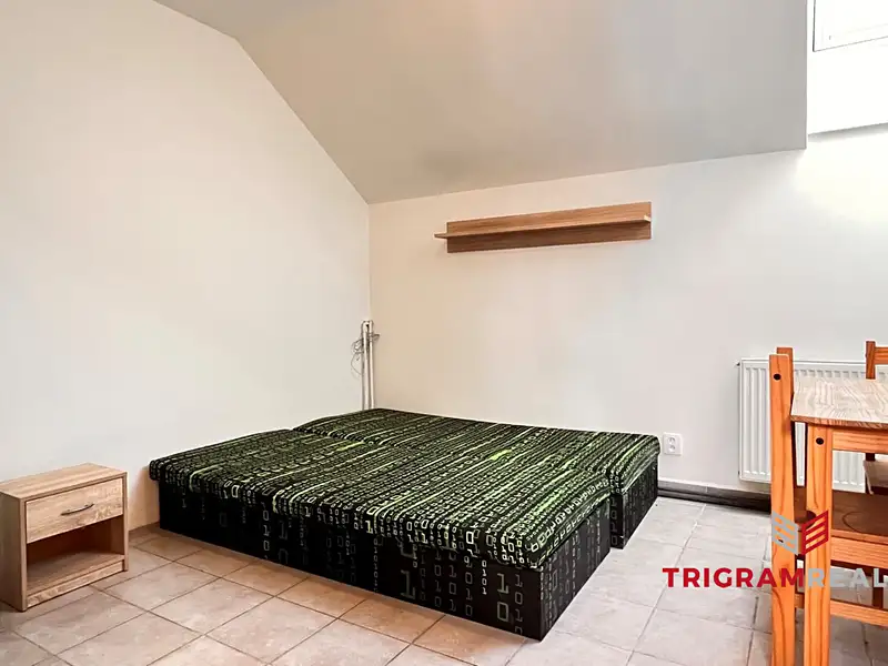 Pronájem bytu 1+kk 17 m², Hradec Králové – náhled fotky 1
