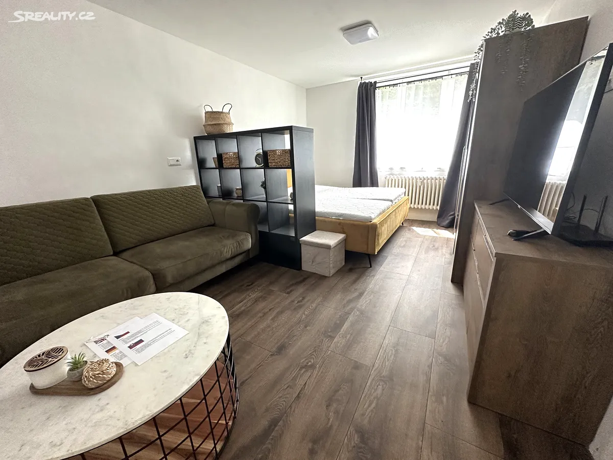 Pronájem bytu 1+1 37 m² - Widok 4