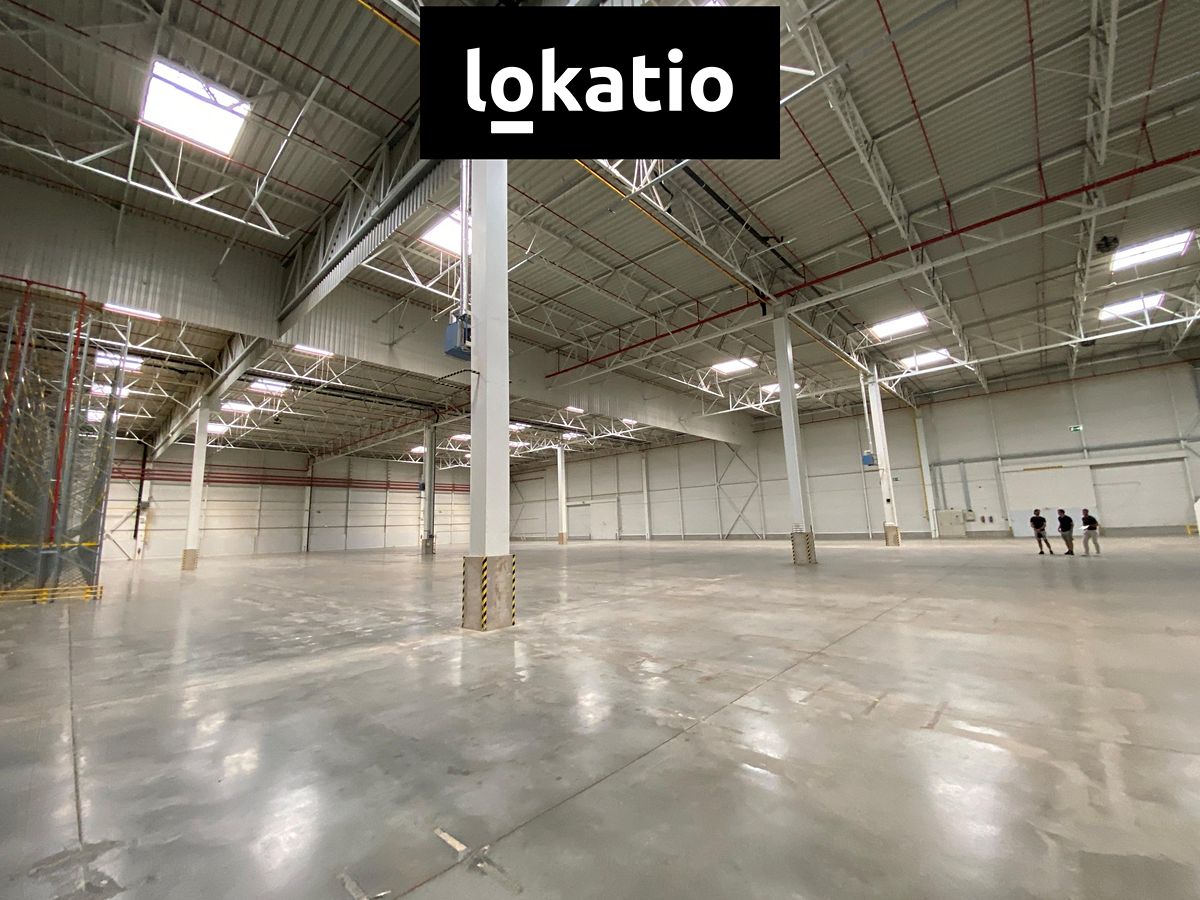 Pronájem výrobní haly, prostoru 16895 m² – fotografie 3
