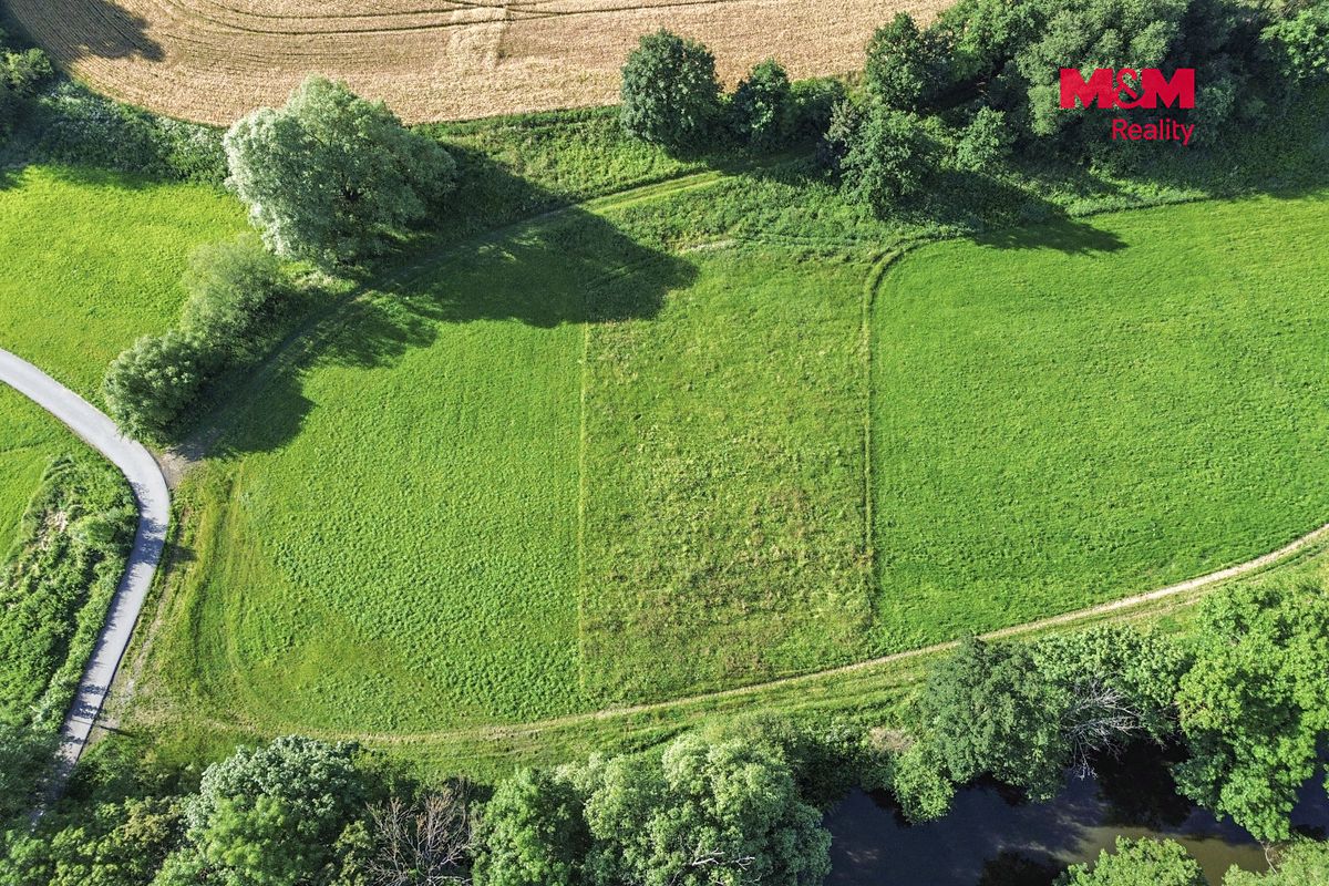 Pronájem louky 3297 m² – fotografie 5