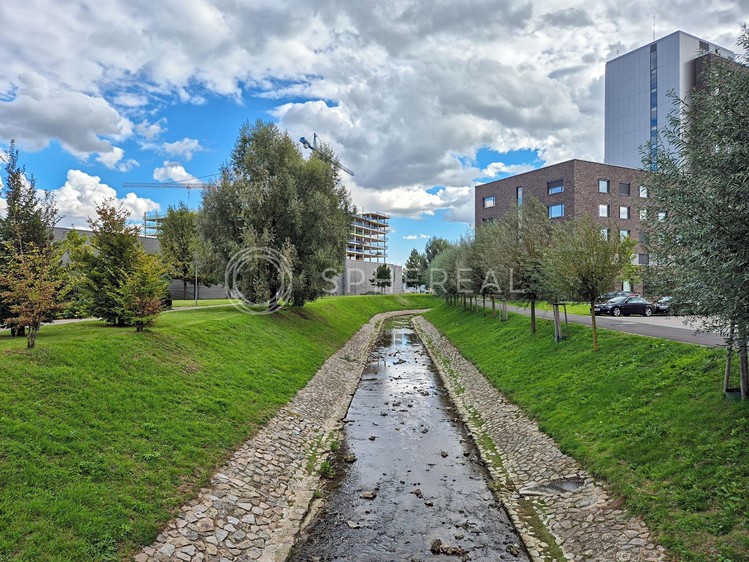 Ostatní