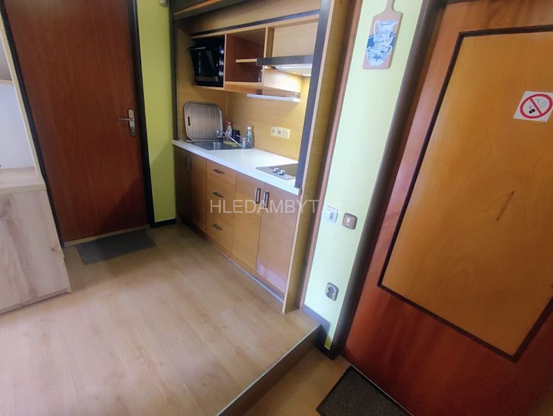 Pronájem bytu 1+kk 23 m² – fotografie 3