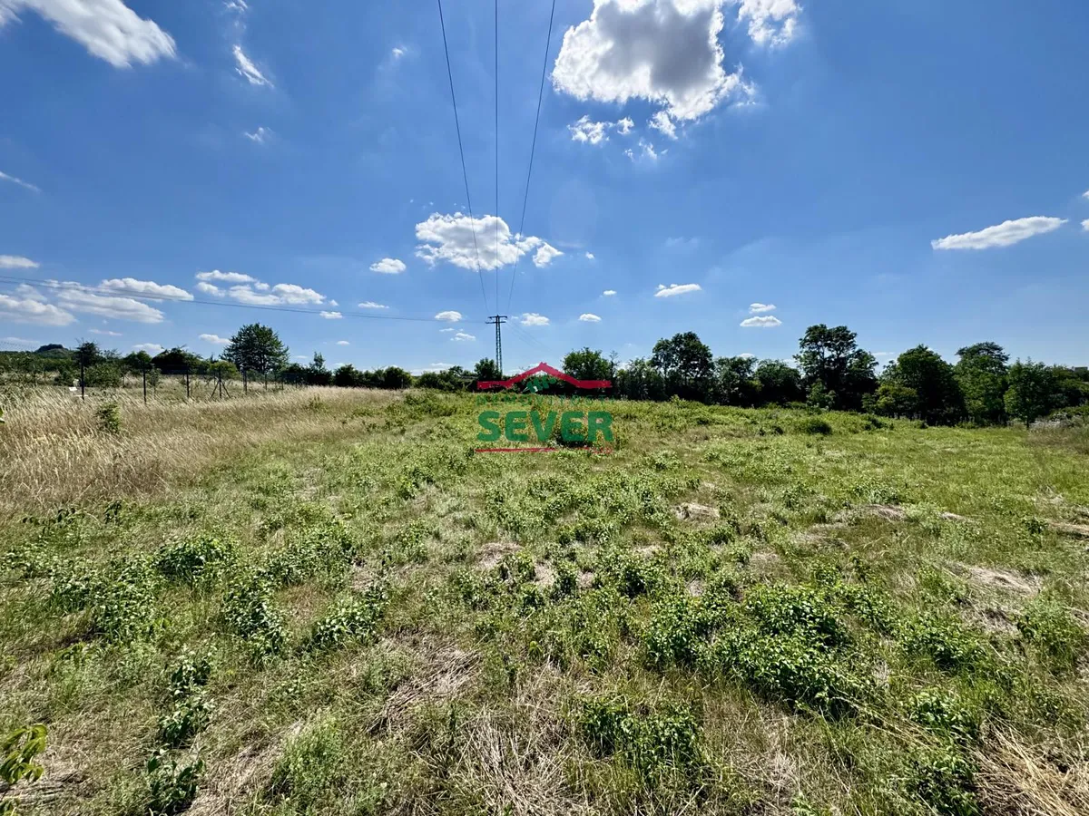 Prodej pole 2160 m²
