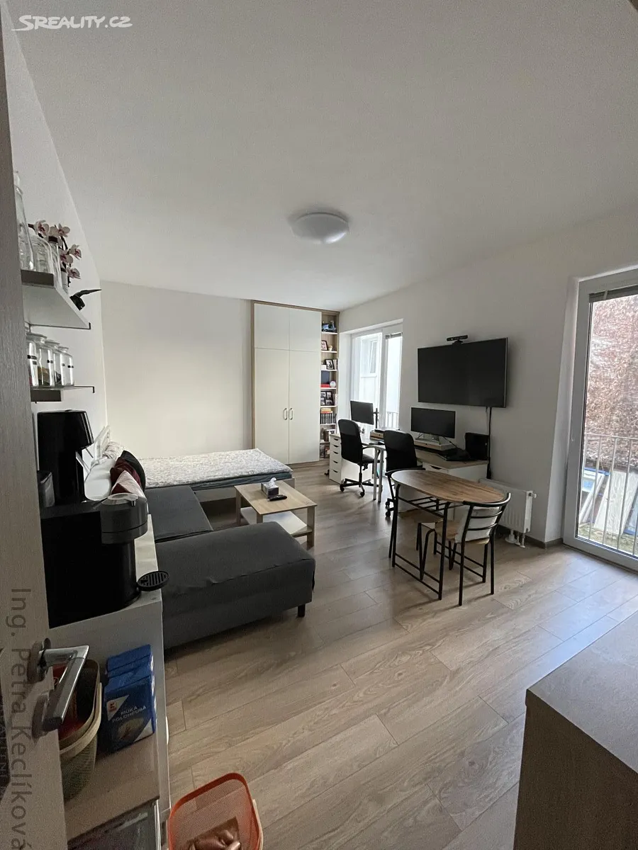 Pronájem bytu 1+kk 30 m² – pohled 5