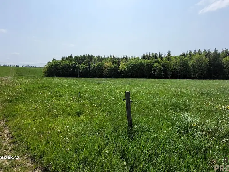 Prodej louky 2247 m², Moravský Beroun – náhled fotky 3