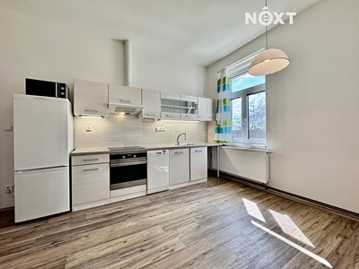 Pronájem bytu 1+1, 55 m² (2 z 11)