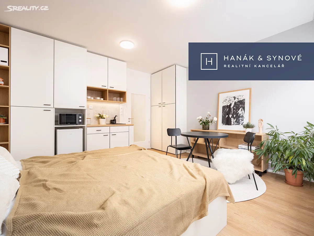 Pronájem bytu 1+kk 31 m², Brno