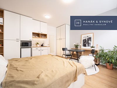Pronájem bytu 1+kk 31 m²