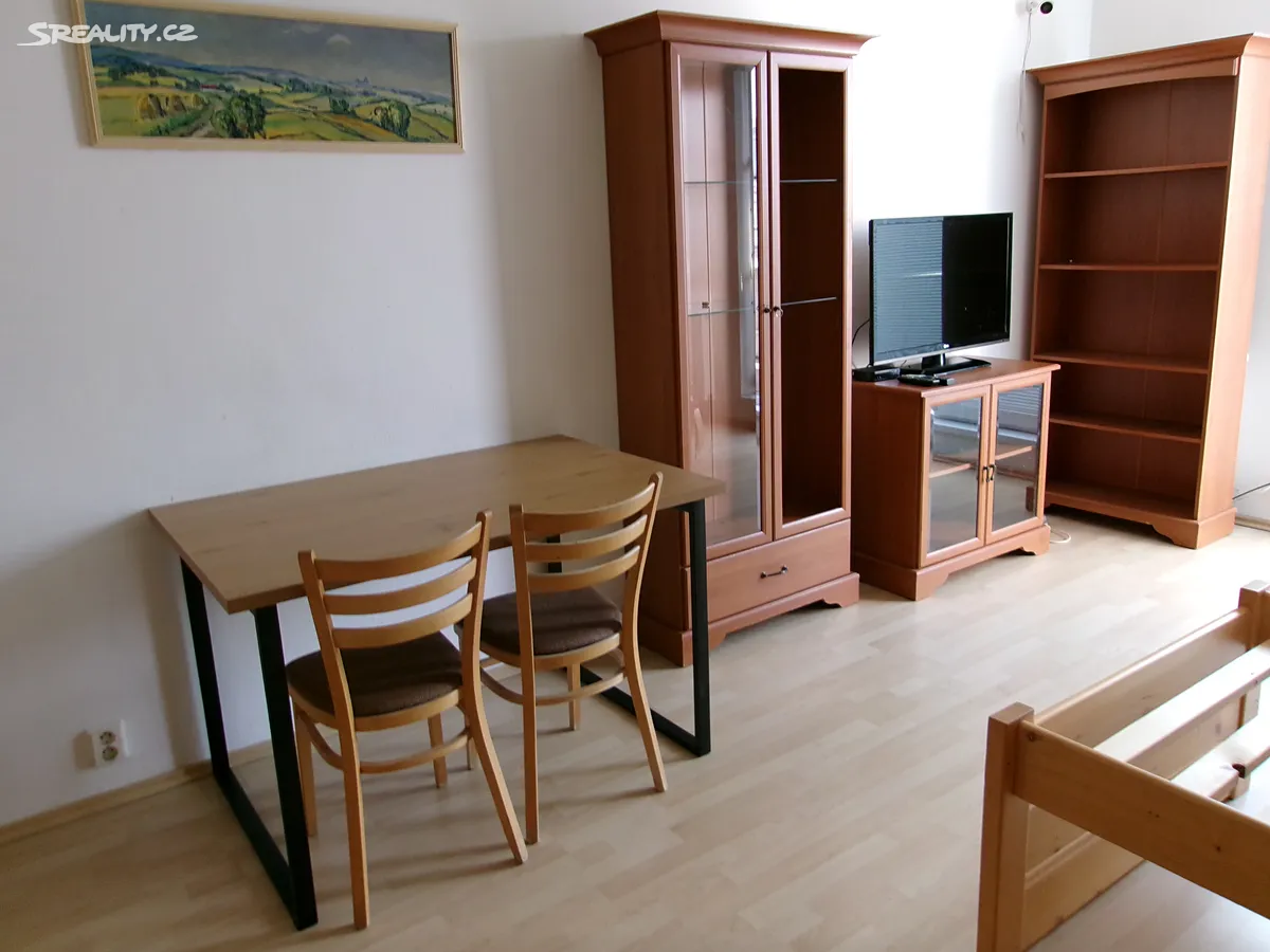 Pronájem bytu 1+kk 40 m² – pohled 4