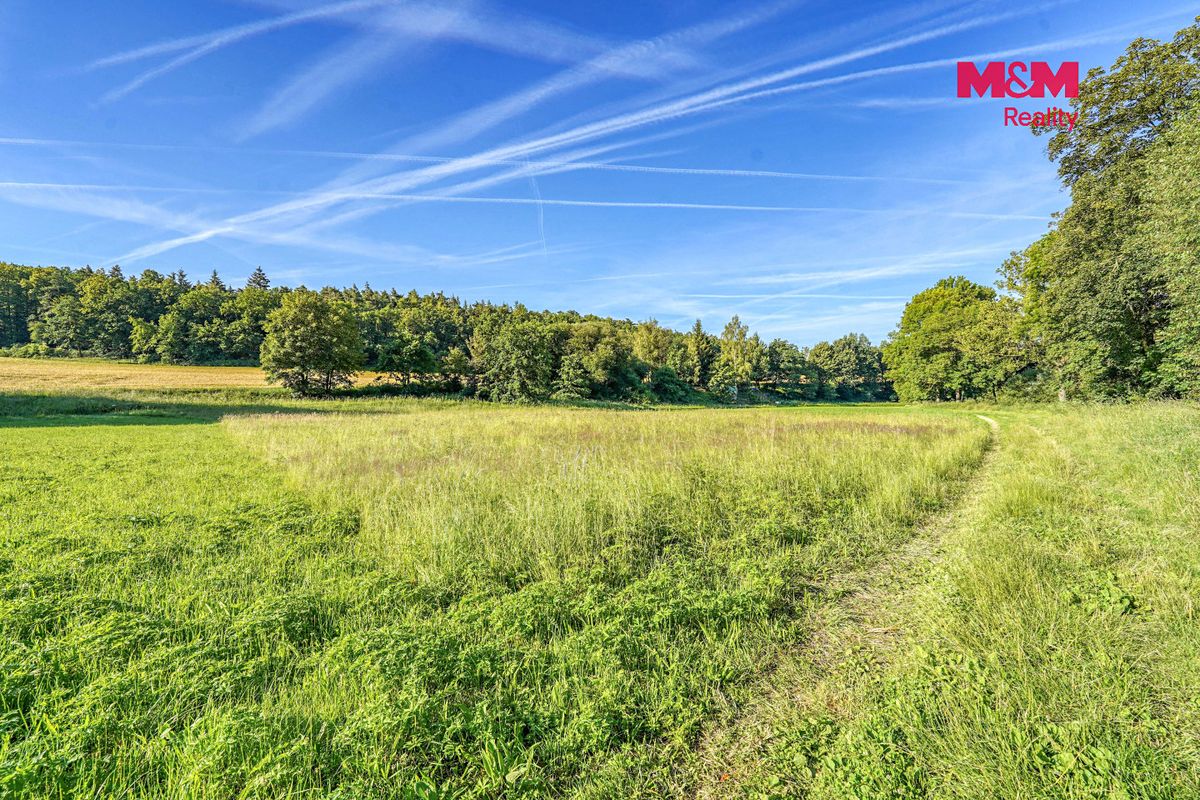 Pronájem louky 3297 m² – fotografie 2