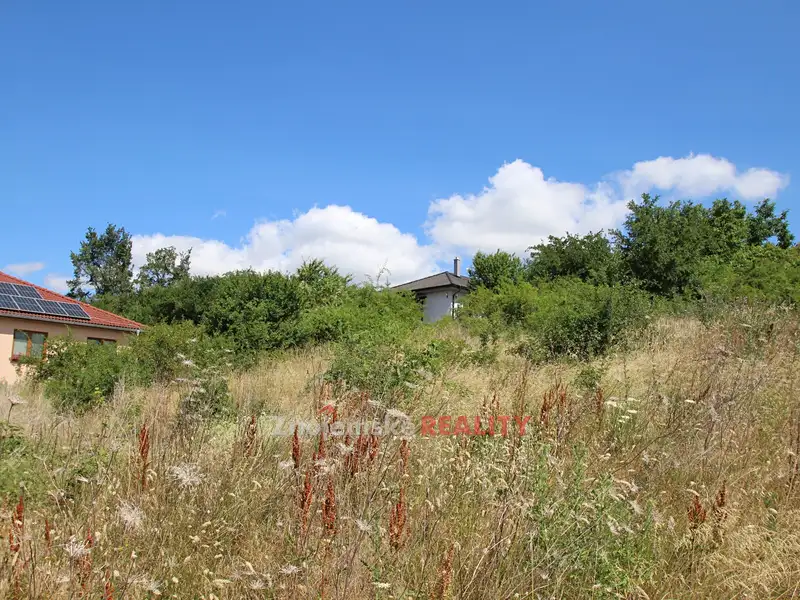 Prodej stavebního pozemku 2679 m², Dyje – náhled fotky 3
