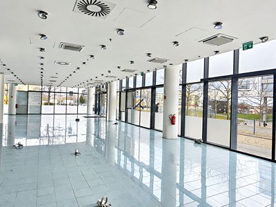 Pronájem obchodního prostoru 262 m²