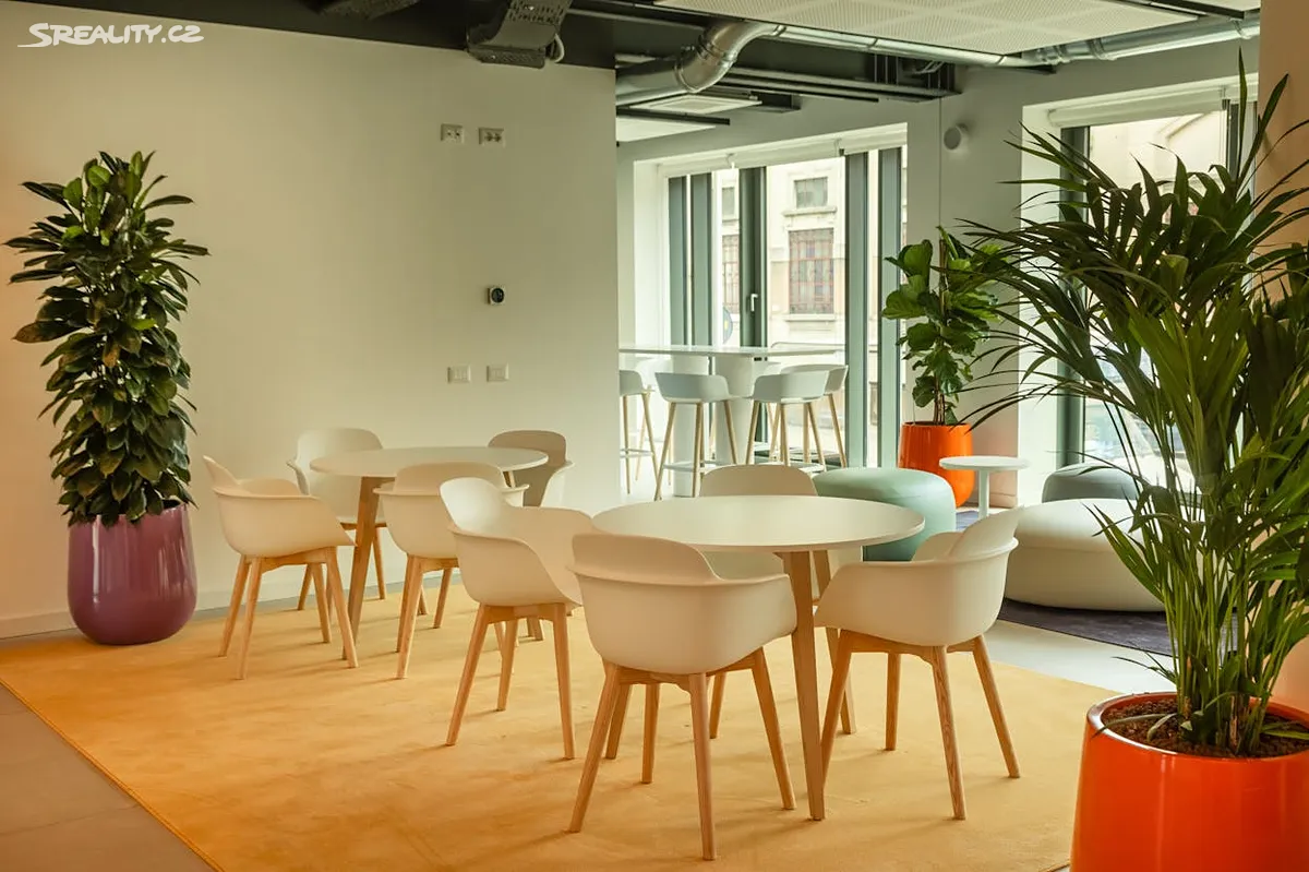 Pronájem bytu 1+kk 33 m² – pohled 4