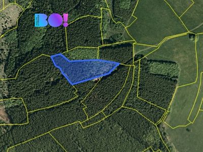 Prodej lesa 6240 m²