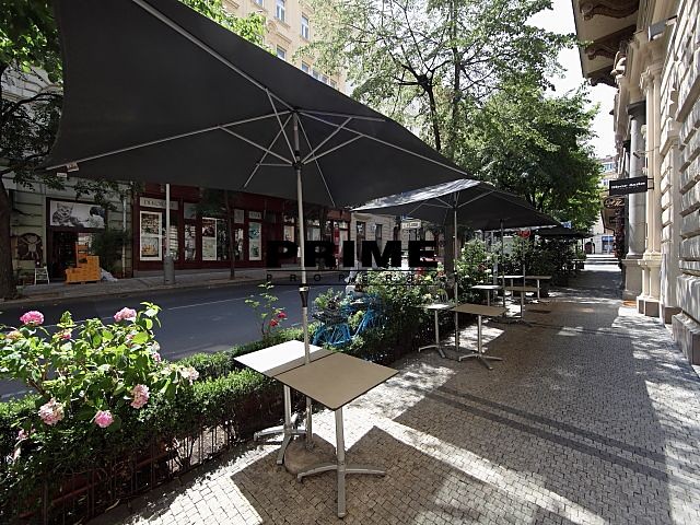 Pronájem komerčního prostoru, 225 m² (38 z 39)
