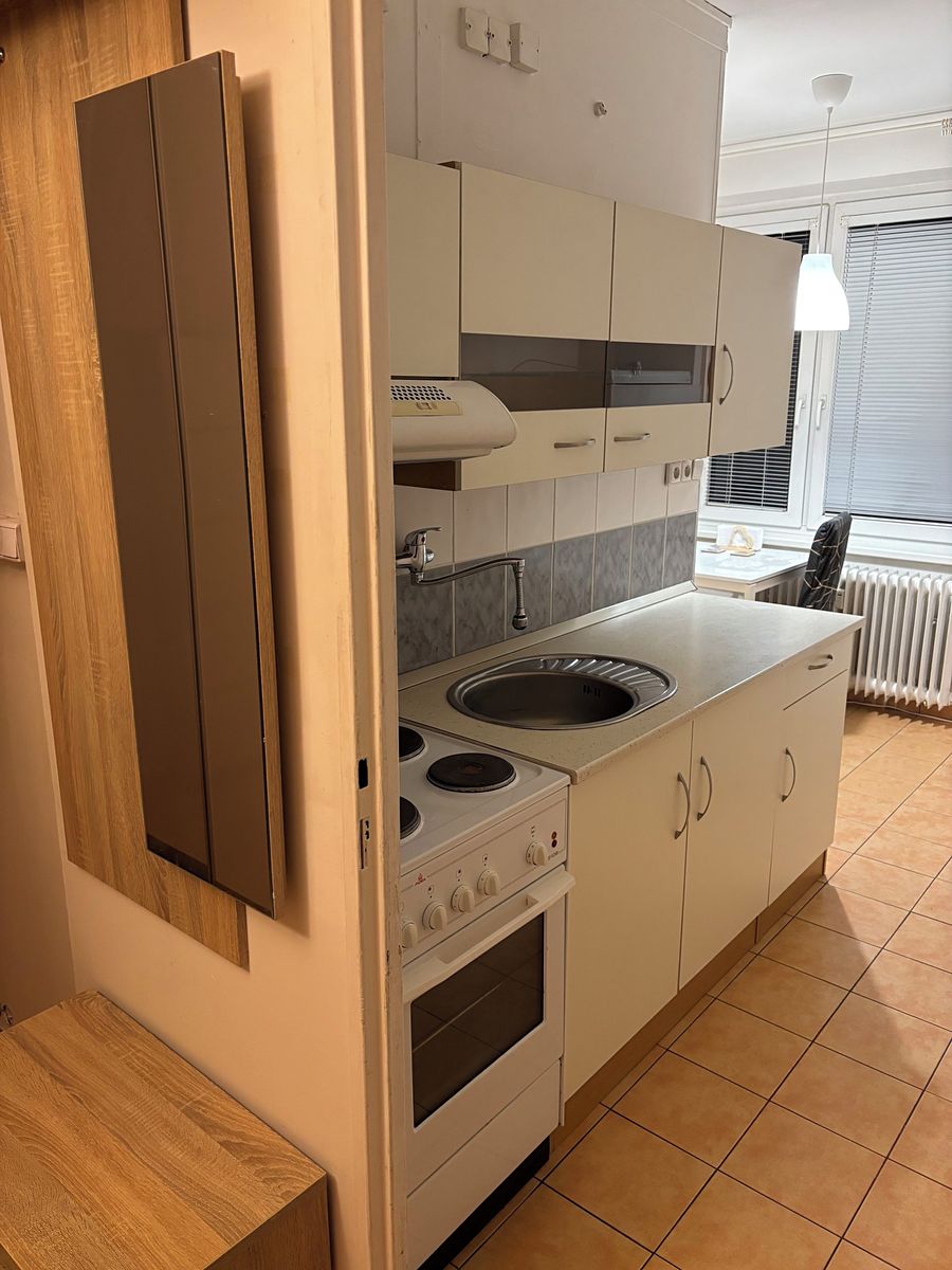 Pronájem bytu 1+1 34 m²