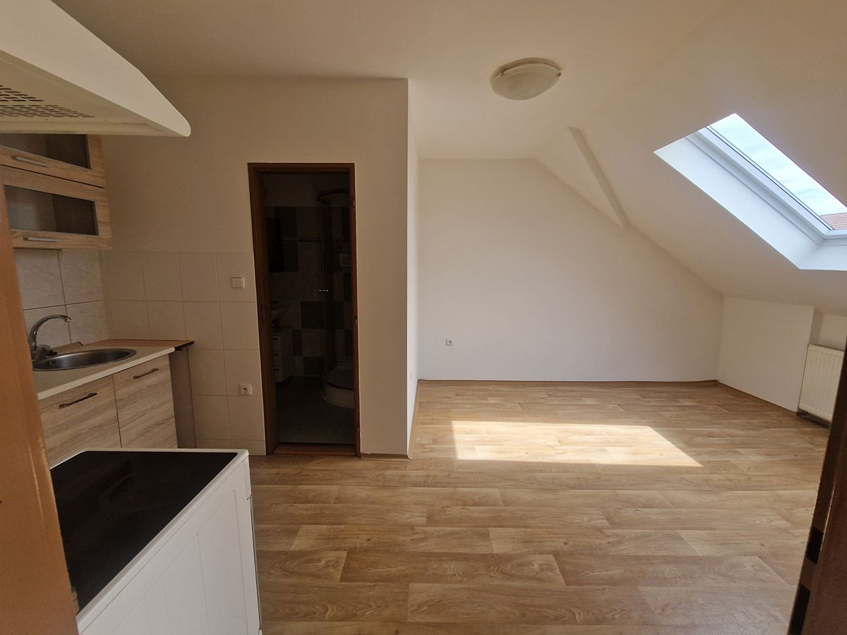 Pronájem bytu 1+1 40 m²
