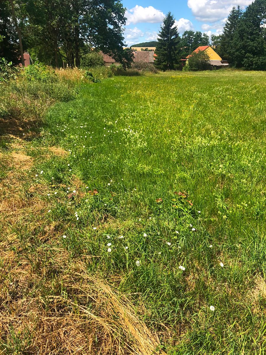 Prodej stavebního pozemku 1350 m², Líšťany – fotka 1 z 3