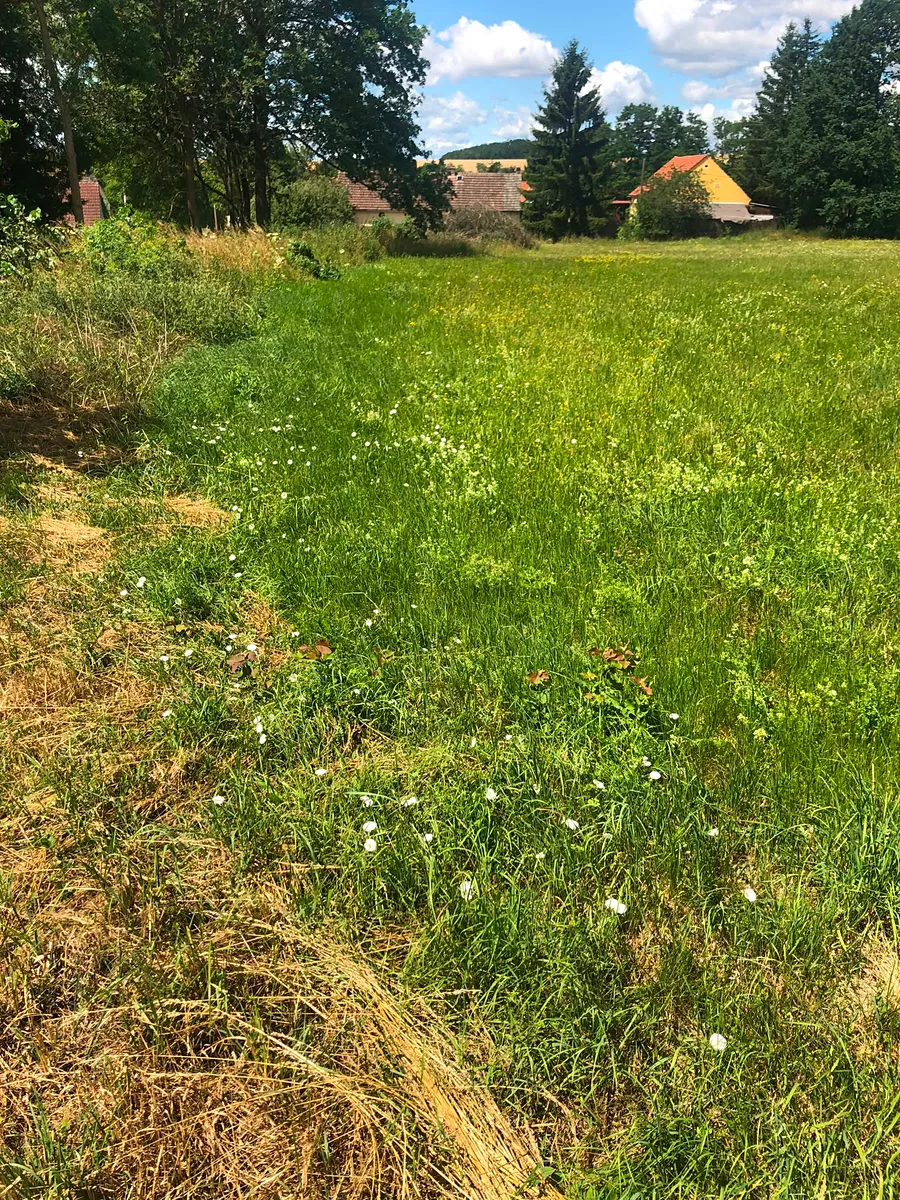 Prodej stavebního pozemku 1350 m²