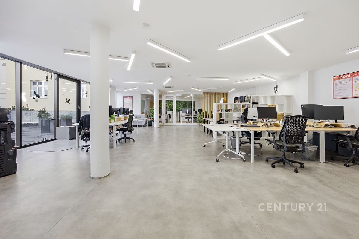 Prodej kanceláře 232 m² – fotografie 5